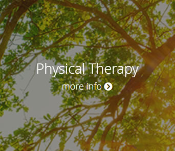 physical_therapy